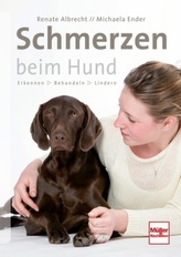 6. Schuljahr, Schülerbuch