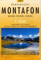 Landeskarte der Schweiz Montafon