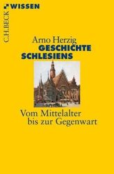 Das Fundbüro der Wünsche
