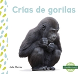  Crias de gorilas (Baby Gorillas)