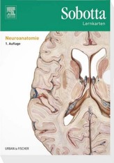 Neuroanatomie, Lernkarten