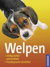 Welpen