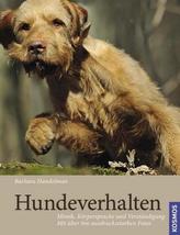 Conni 15 - Meine beste Freundin, der Catwalk und ich