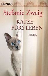 An der Schule mag ich ...