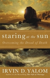 Staring At The Sun. In die Sonne schauen, englische Ausgabe