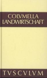 De potestate papae et cleri. Die Amtsvollmacht von Papst und Klerus