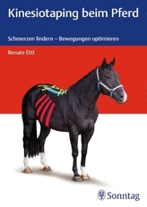Handbuch der Text- und Sozialgeschichte Osteuropas