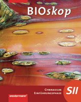 Die Nacht des Kometen