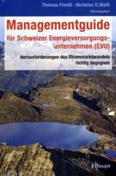 Managementguide für Schweizer Energieversorgungsunternehmen (EVU)