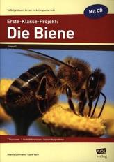 Der Sommer am Ende des Jahrhunderts