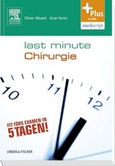 Angelfire, Der letzte Kampf der Feuergöttin
