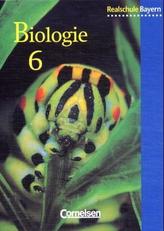 6. Jahrgangsstufe