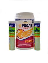 Artivit Pegas Forte 7 700g