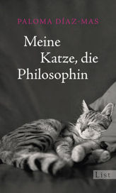 Die Untreuestrafbarkeit des Vorstands einer Aktiengesellschaft