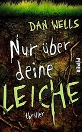 Ins Nordlicht blicken