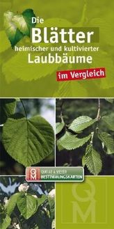 Die Blätter heimischer und kultivierter Laubbäume im Vergleich, Leporello