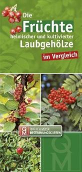 Die Früchte heimischer und kultivierter Laubgehölze im Vergleich, Leporello