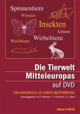 Die Geschwister Apraksin