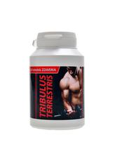 Tribulus terrestris 40 % saponinů 170 kapslí