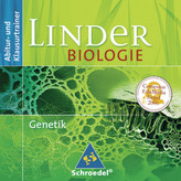 Duden Basiswissen Grundschule Mathematik, m. CD-ROM