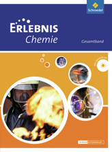 Bärenstarke Gedanken für Lehrer/innen