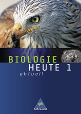 41 Spickzettel für Lehrer
