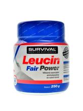 Leucin fair power 250 g