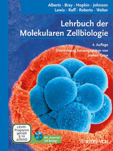 Positive Verstärker für den Schulalltag - Klasse 5/6, m. CD-ROM