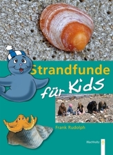 Strandfunde für Kids