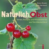 Weisen der Weltbeziehung