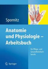 Anatomie und Physiologie