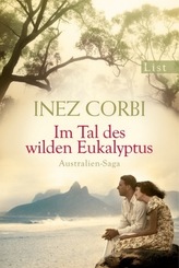 Hexe Lilli und der schreckhafte Wikinger