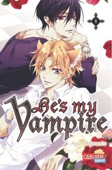 He's my Vampire. Bd.4