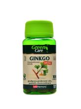 Ginkgo 60 mg extrakt 100 kapslí