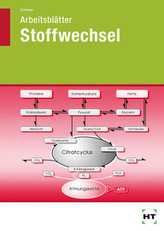 Arbeitsblätter Stoffwechsel zu den Grundfragen der Ernährung