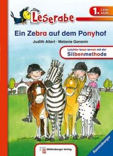 Ein Zebra auf dem Ponyhof