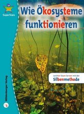 Berufliche Identität, Lebenswelten und Beziehungsgestaltung, Handlungskonzepte, Planung pädagogischer Prozesse, Lern- und Entwic