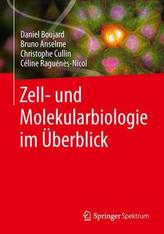 Zell- und Molekularbiologie im Überblick