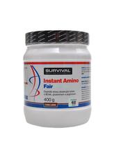 BCAA Instant amino fair power 400 g - meloun
