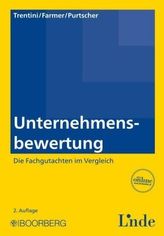 Unternehmensbewertung