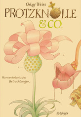 Protzknolle & Co.