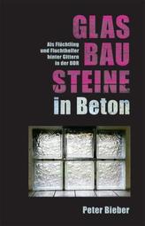 Glasbausteine in Beton