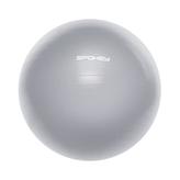 Fitball III gym.míč vč.pumpičky 65cm šedý