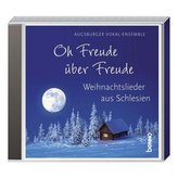 Handbuch für Einnahmen-Ausgaben-Rechner (f. Österreich)