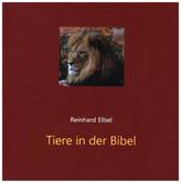 Legasthenie leichter meistern - 2. Klasse Volksschule, m. Audio-CD