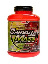 CarboJet mass professional 3000 g - lesní plody