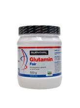 Glutamin fair power 500 g