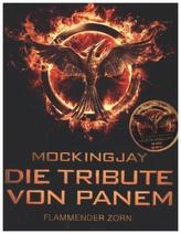 Die Tribute von Panem. Flammender Zorn, Filmausgabe