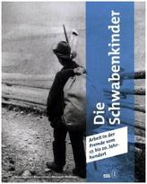 Drachengeschichten