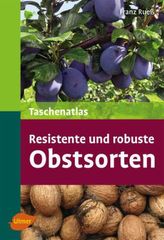 Tafiti und die Affenbande